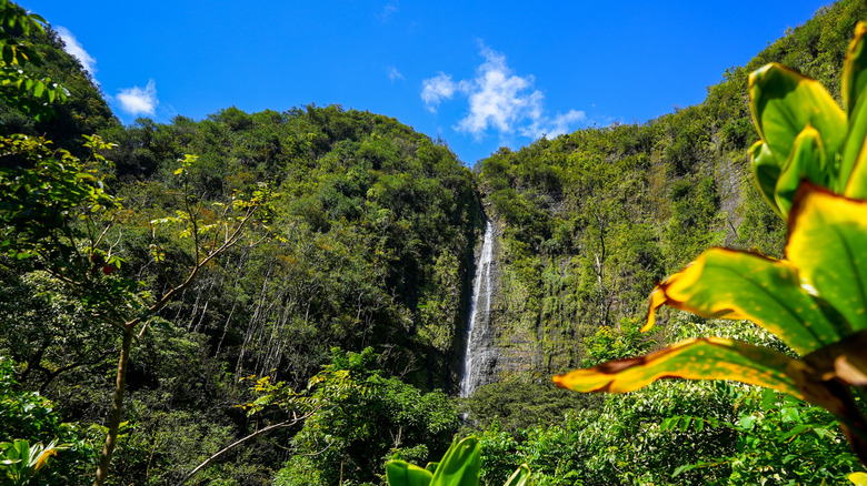 Waterfall in Haleakala National Park