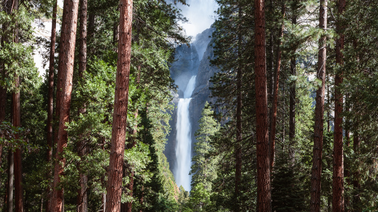 Waterfall in Yosemite National Park