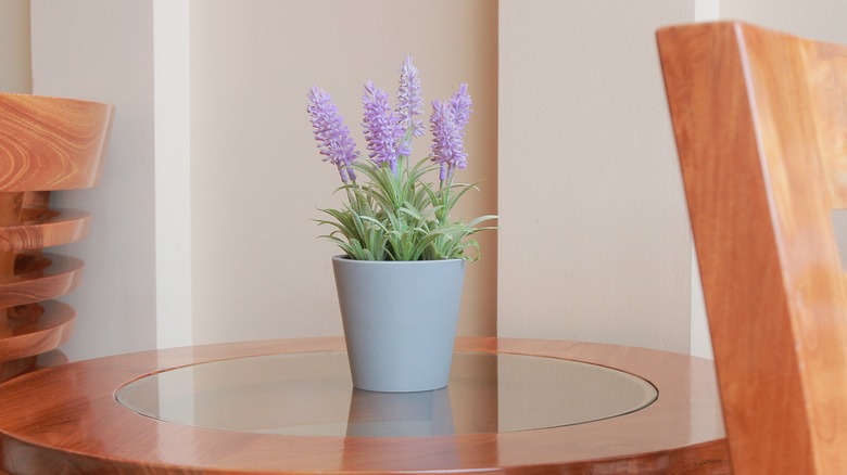 Lavender on table 