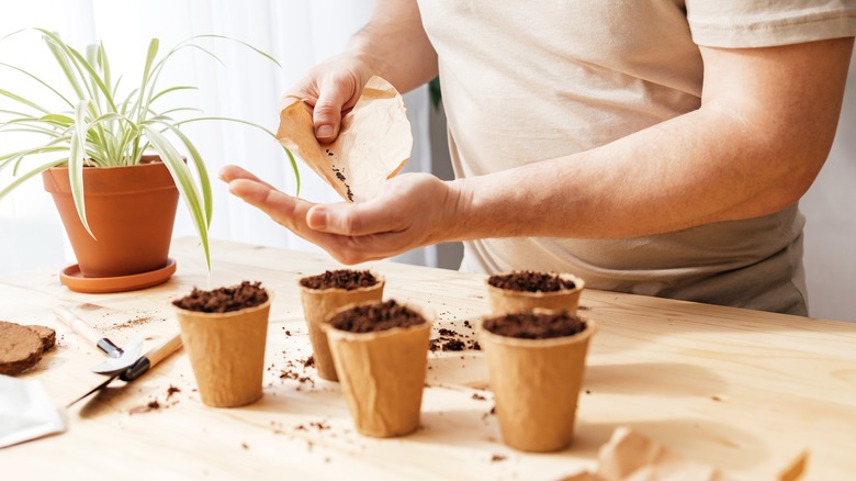 Person putting seeds into pots