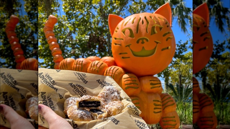 Jack O' Lanterns in shape of cat with hand holding dessert