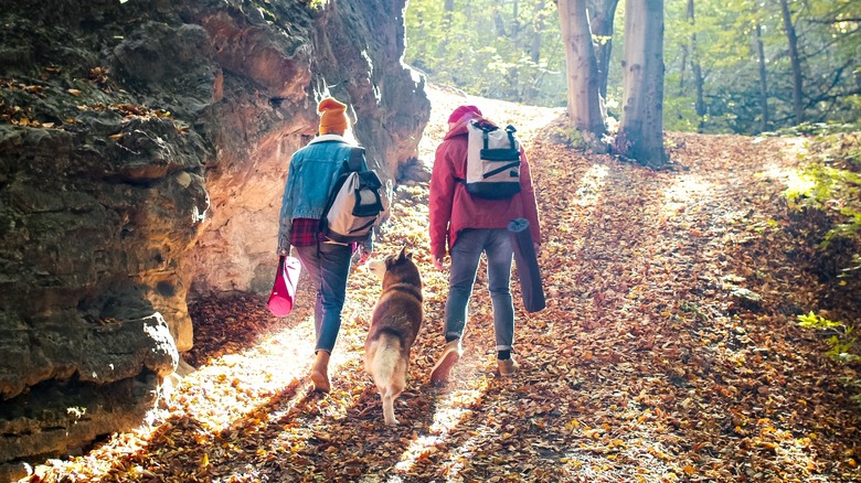 Hikers with dog on trail