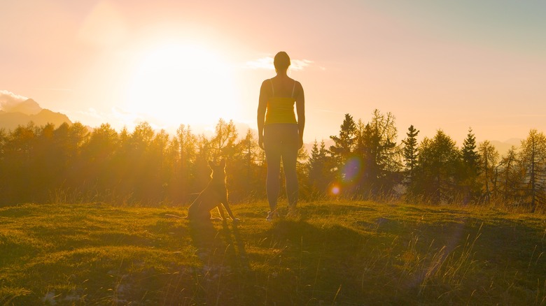 Hiker and dog on grass and looking at sunset