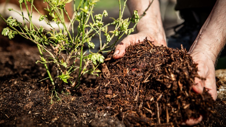 Man holding broken down mulch