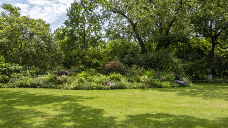 green garden with tree and flower bed