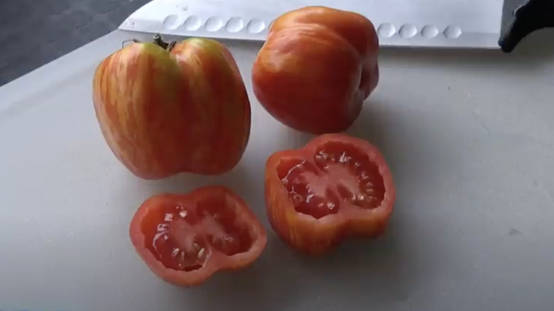 Hollow tomato