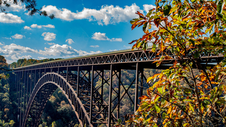 New Rive Gorge Bridge sky leaves