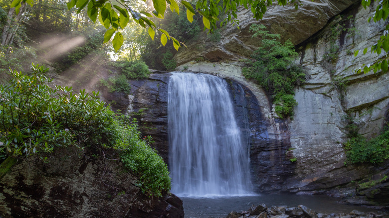 looking glass waterfall at pisgah national forest