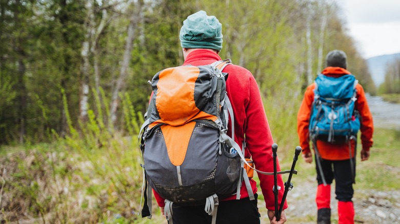 Hikers making their way down a wooded trail 