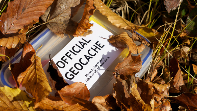 Official geocache in a leaf pile 