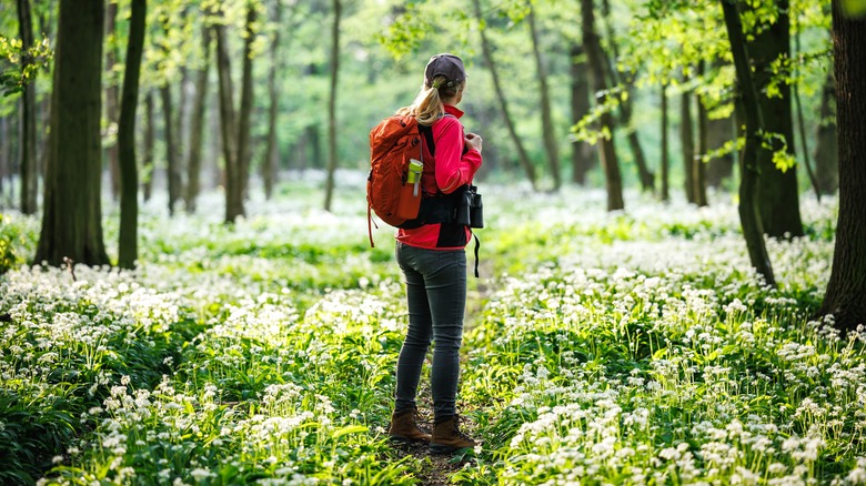 Female hiker with a red jacket