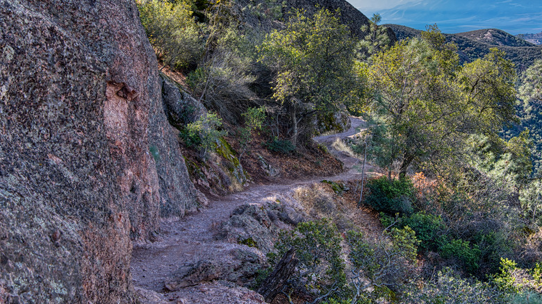 Ridgeline trail in California 