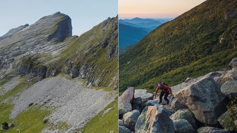 L: rock scree; R: rock talus 