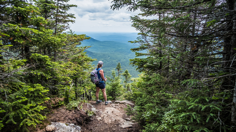 Thru-hiker standing at a gap in the mountains 