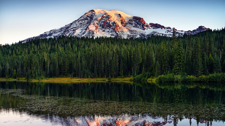 Clear mountain tree line 