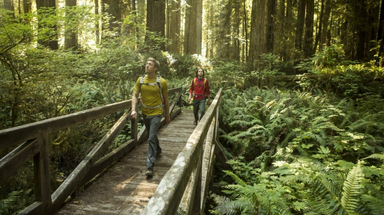 Two hikers walking on a designated boardwalk trail through Redwood National and State Parks in California