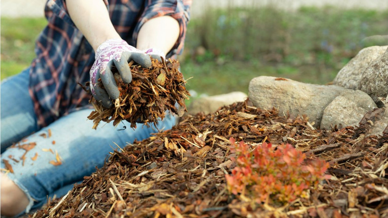 Person with gloves holding mulch in their hands