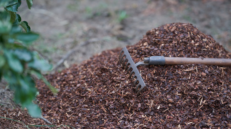 A rake sitting on a pile of mulch