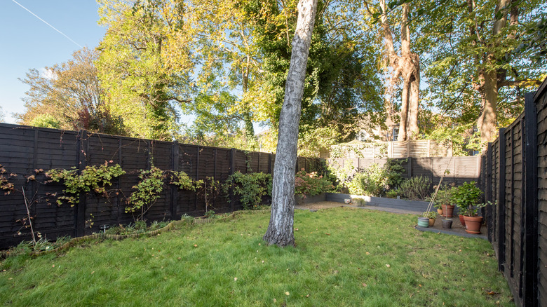 Garden with a privacy fence running around it