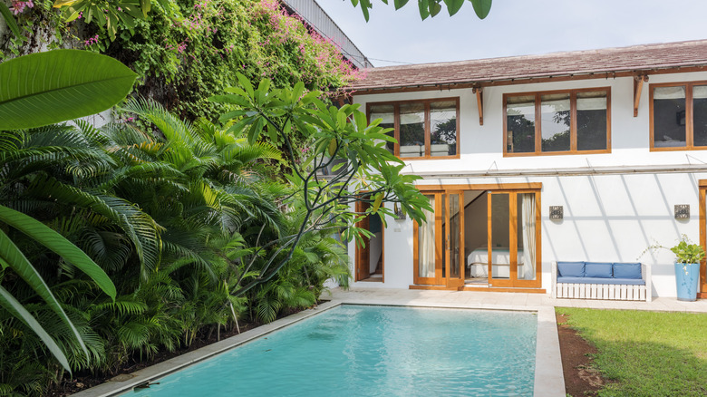 Plant wall by pool in backyard