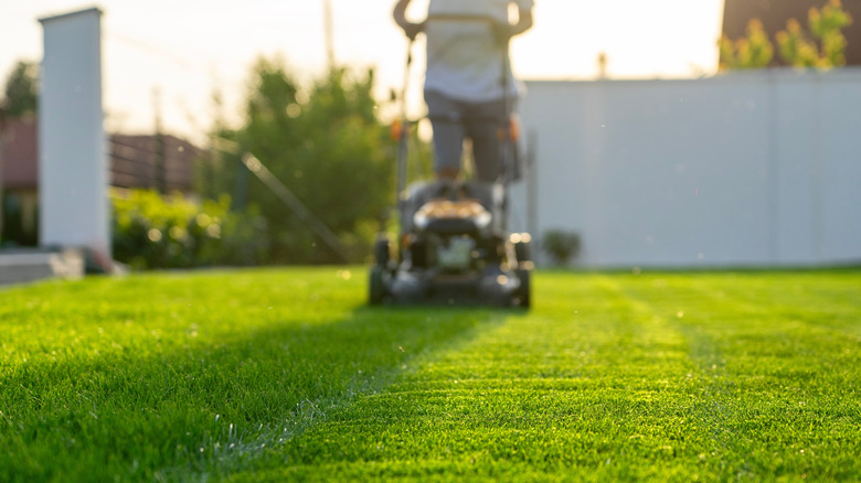 Man mowing lawn