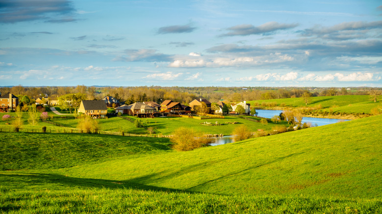 Lawns with kentucky bluegrass and homes in the distance