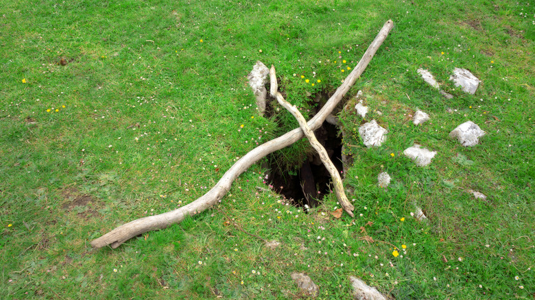 Emergency X in ground made of thick sticks