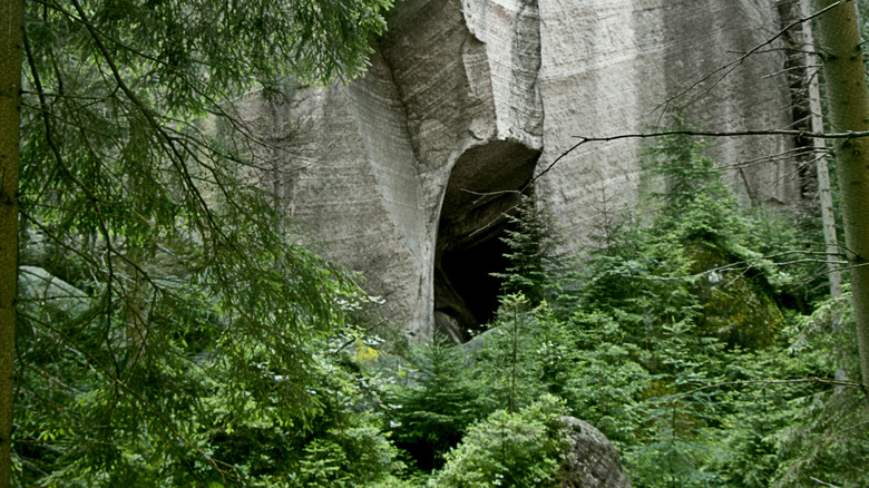 A cave entrance in the woods