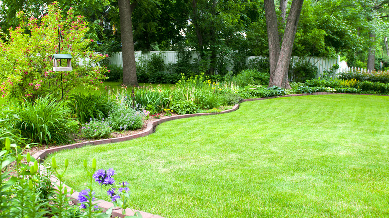 Edged curved garden on lawn