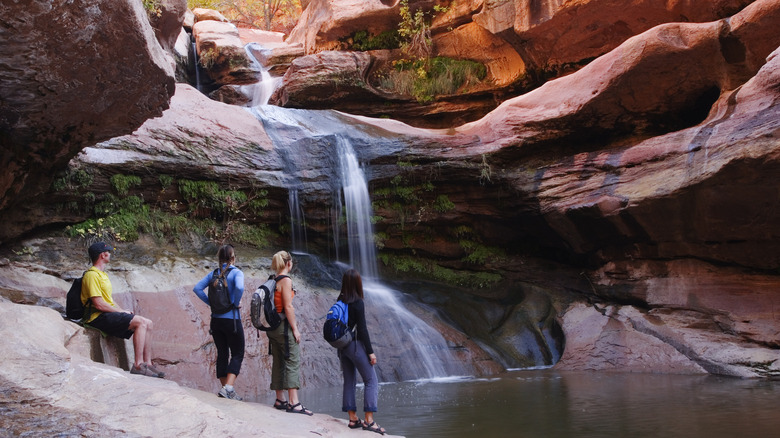 hikers in zion national park