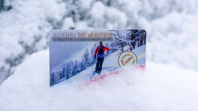 america the beautiful annual park pass