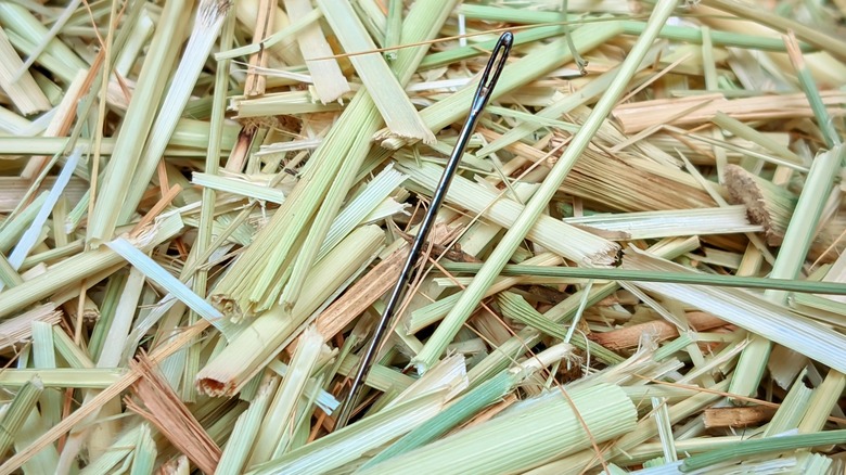 sewing needle in hay