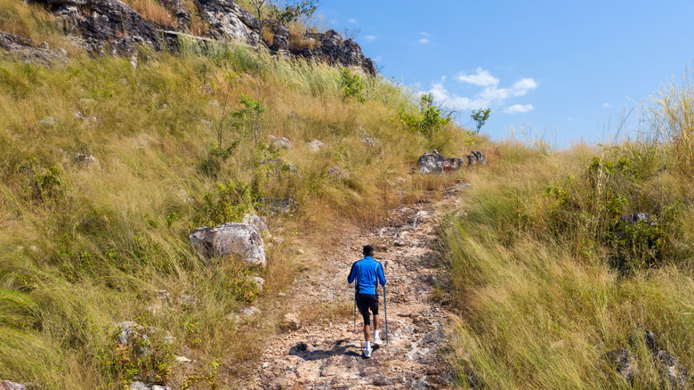 Long distance hiker on trail with poles