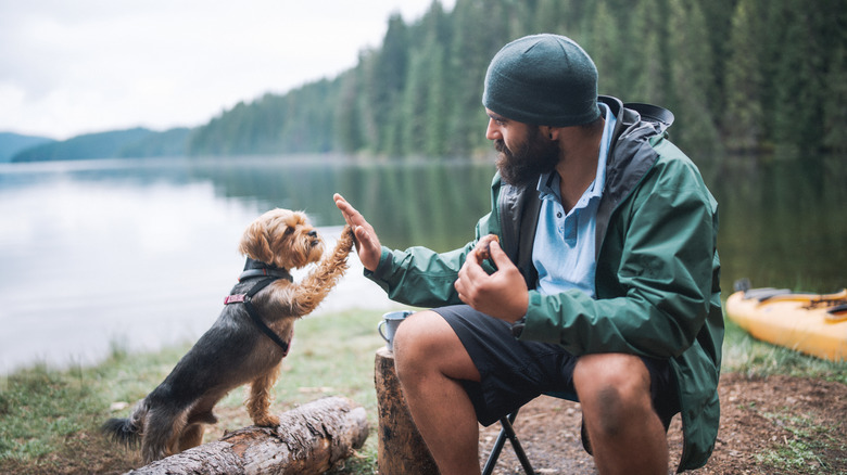 Man and small dog high five
