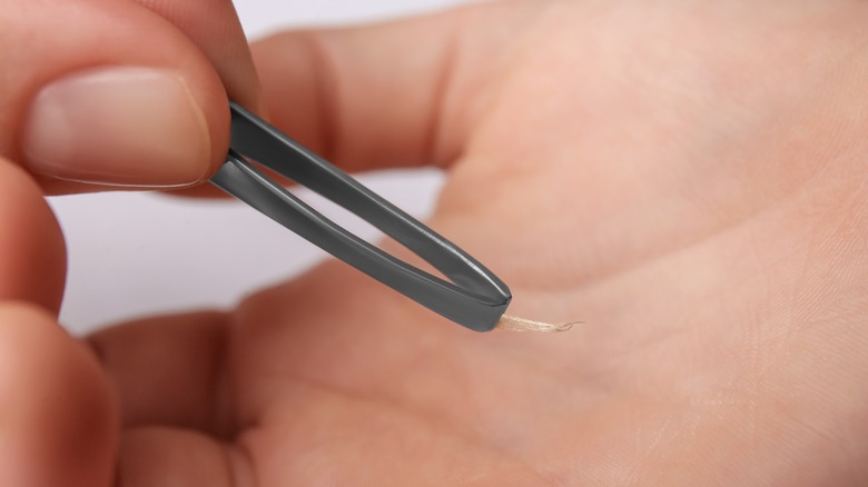 Hand removing splinter with tweezers