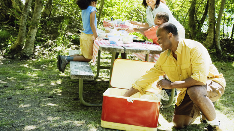 family at a picnic with a cooler