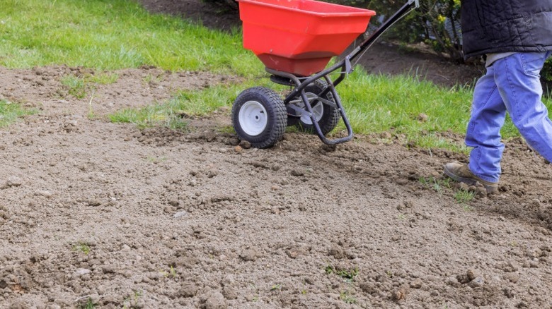 A person using a spreader to sow grass seed on bare soil.