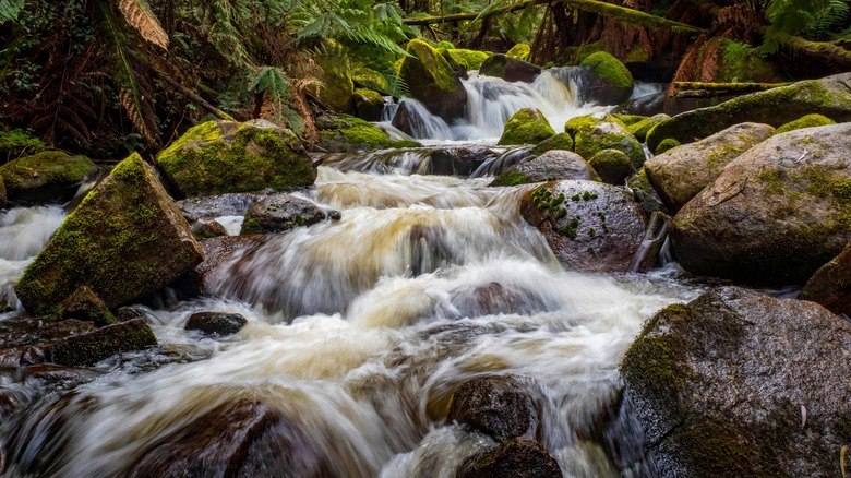 Stream moving quickly over mossy rocks 