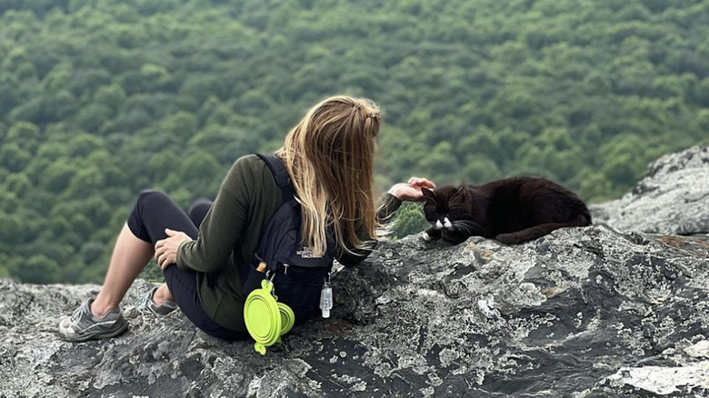 Hiking cat with owner on mountain