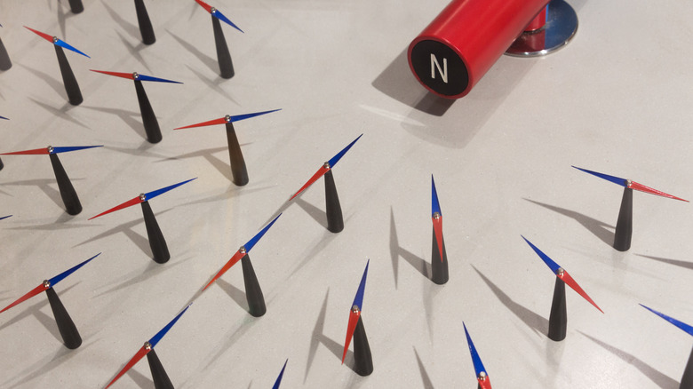 Magnet and compass needles