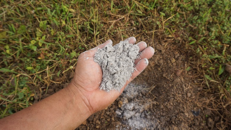 hand full of wood ash 