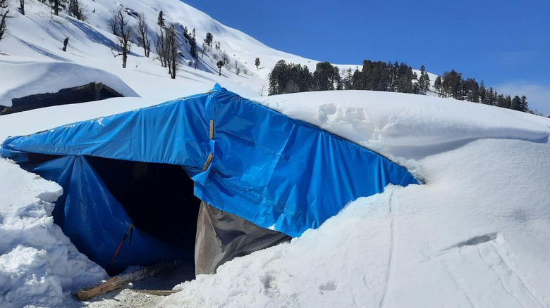 Blue shelter in the snow