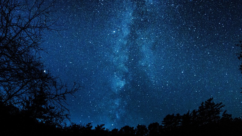 Milky way at night in woods