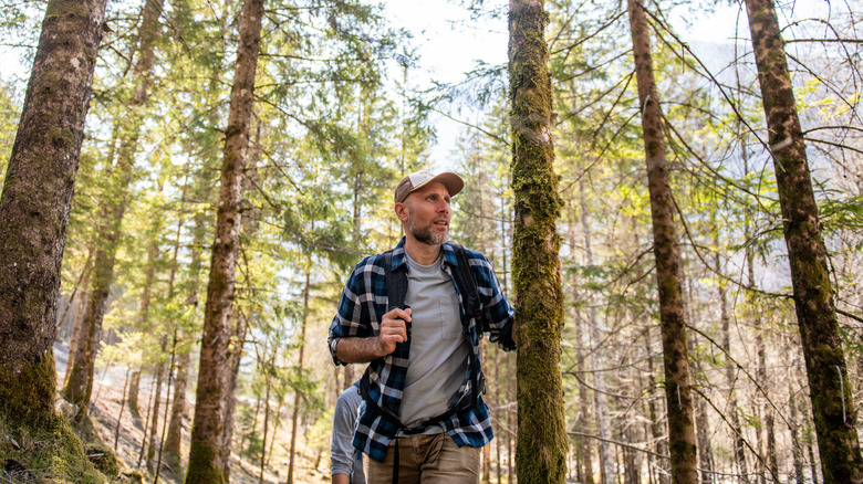 Hiker walking through forest, hand on tree