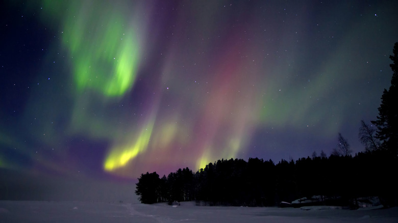 Northern lights over snow-covered woods 