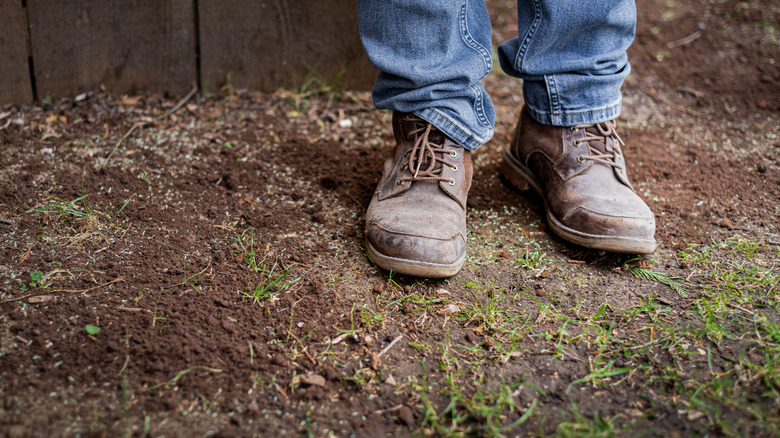 Feet standing on patchy grass in shady corner of yard