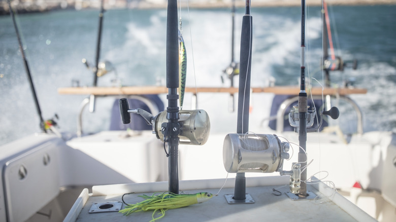 Offshore fishing, look inside boat