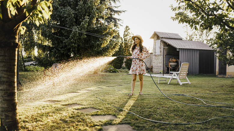 Woman watering lawn