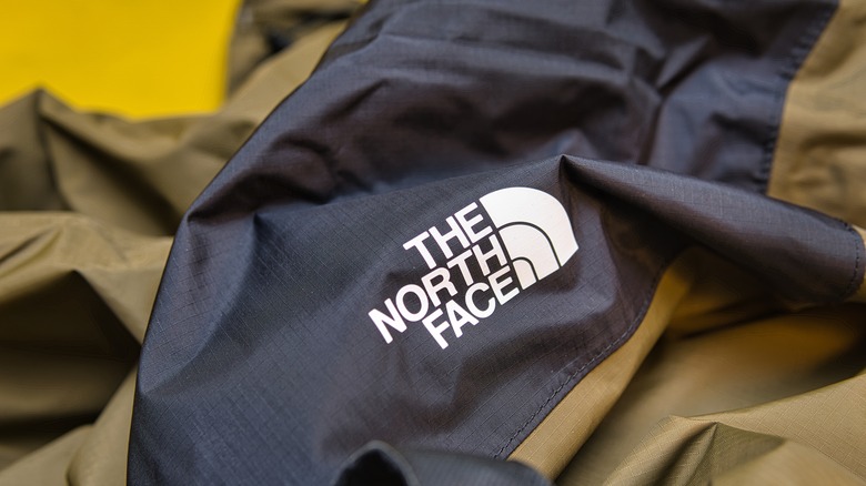 The North Face logo on bag