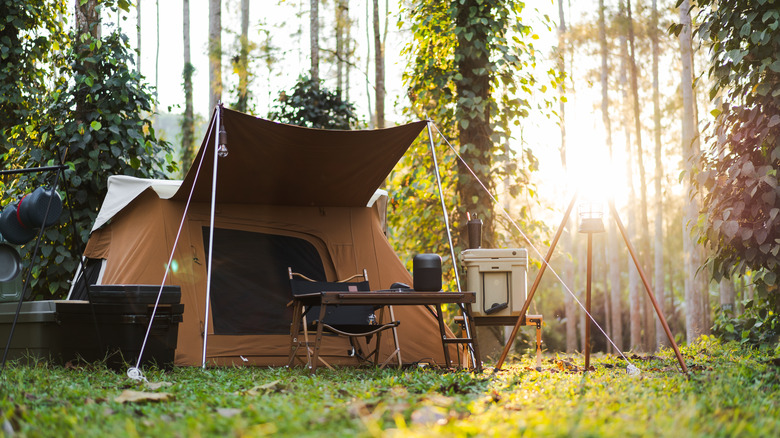 Empty campsite